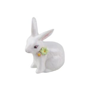 COELHO NOVO PONE OBSERVACAO