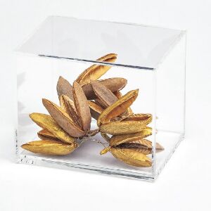 CX RETANGULAR TRIDENTE NATURAL C/ DOURADO