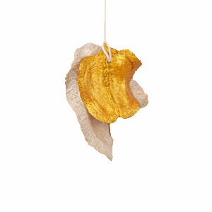 CX P HORIZ BOCA DE SAPO ALVEJADO C/ DOURADO