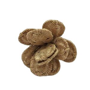 PORTA GUARDANAPO ARGOLA PALHA FLOR