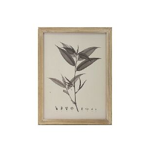 QUADRO EM MADEIRA, VIDRO E PAPEL BOTANICAL