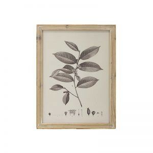 QUADRO EM MADEIRA, VIDRO E PAPEL BOTANICAL