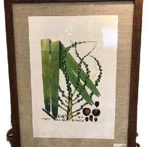 QUADRO TELA IMPRESSA AMAZ&Ocirc;NIA