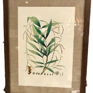 QUADRO TELA IMPRESSA AMAZ&Ocirc;NIA 50X65CM