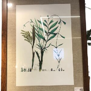 QUADRO TELA IMPRESSA AMAZ&Ocirc;NIA 65X50CM