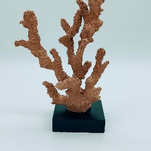 ADORNO CORAL NORONHA PEQUENO 13X12X18CM
