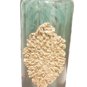 GARRAFA GENOVA C/ALIQUE CORAL MED 38X15X15CM