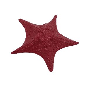 ESTRELA DO MAR RESINA VERMELHA 15X15X3CM