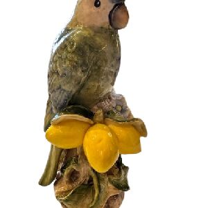 PASSARO CRISPIM LIMOES E HORT&Ecirc;NSIAS 19X11X13CM