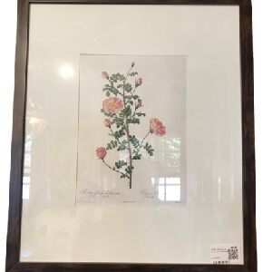 QUADRO ROSA PIMPINDLE