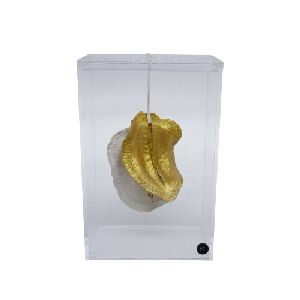 CX P BOCA DE SAPO ALVEJADO C/ FIO DOURADO