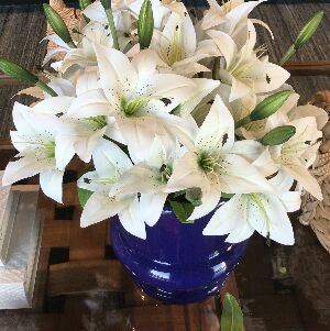 B LIRIO 9 FLORES TQN 3D COR BRANCO 50x20cm