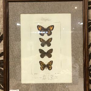 QUADRO BORBOLETAS COM TECIDO 54,5X44,5CM