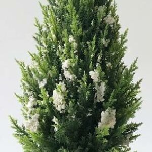 ARVORE NO VASO VD 37 CM