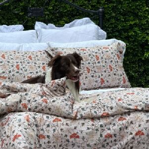 KIT DUVET FLOR SUMAC QUEEN 250X250CM