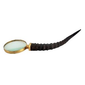 LUPA DE RESINA 10 X 33CM