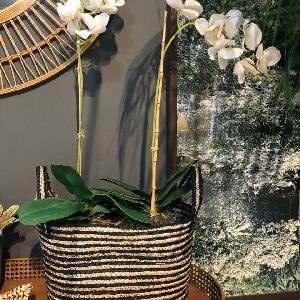 CESTO JUTA B W COM ALCA G 33X40X25CM