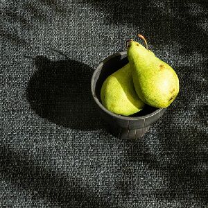 TAPETE WABI SABI/SOB MEDIDA/BLACK - 1 UN/2,50 X2,50=6,25M