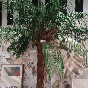 PRESERVADO PALMEIRA 1,80M VD SUAVE