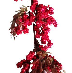 FEST&Atilde;O BERRY - 130CM