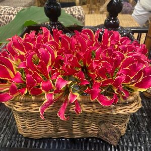 FLOREIRA TRELI&Ccedil;A JUNCO NATURAL 13x25x16cm