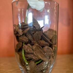 VASO EM VIDRO INCOLOR 76304 -