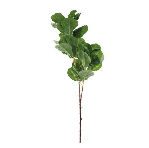 HASTE FICUS LYRATA X26 110 CM - VERDE