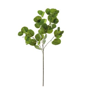 HASTE EUCALIPTO X39 79 CM - VRD C/ 1 UN