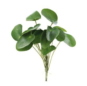 PICK DE PILEA X19 28 CM - VRD C/ 1 UN