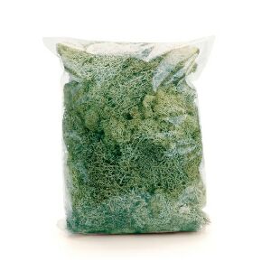 MUSGO DECORATIVO 250G VDC (MUSGO PRESERVADO)