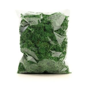 MUSGO DECORATIVO 250G VDE (MUSGO PRESERVADO)