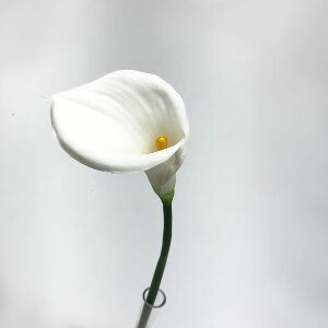 COPO DE LEITE GDE 70CM BRANCO REF 3258-BR