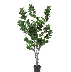 FICUS EM POTE PVA 115CM