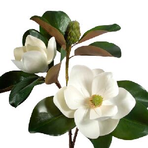 MAGNOLIA GALHO X3 76CM BRANCA REF 8873BR