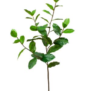 FOLHAS DE LIMOEIRO GALHO 88CM REF 8875