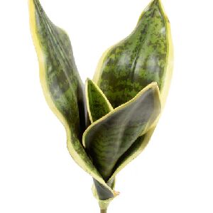 ESPADA DE STA BARBARA X4 39CM REF 8939