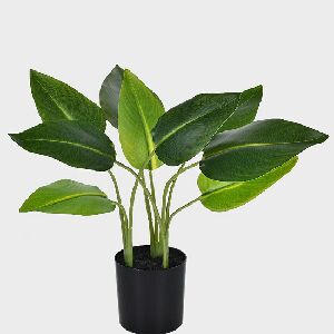 FOLHAGEM STRELITZIA X9 VERDE