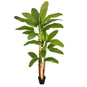 PL BANANEIRA X4 REAL TOQUE VERDE