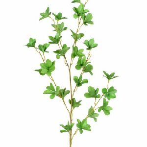 HT FOLHAS DO CAMPO X5 VERDE REF 57776-015