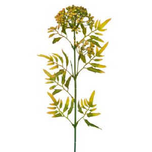 HT BERRIES X3 LARANJA REF 57776-015