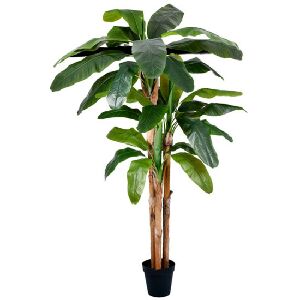 PL BANANEIRA X3 NO POTE VERDE