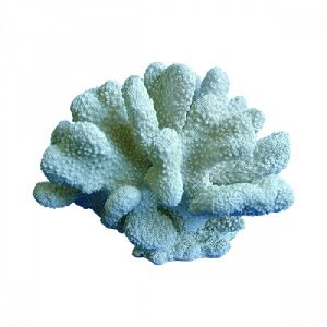 CORAL DECORATIVO DE CERAMICA