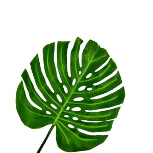 FOLHA COSTELA DE AD&Atilde;O PEQUENA 27CM