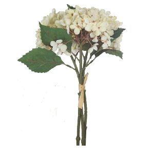 HORT&Ecirc;NCIA BUSH BRANCO