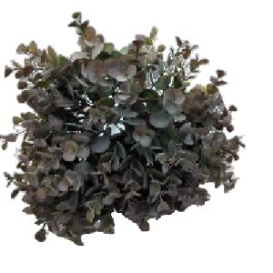 PICK EUCALIPTO MIX VINHO 25CM