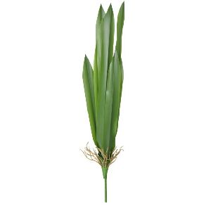 FOLHA DE CIMBIDIUM 54X5X5CM