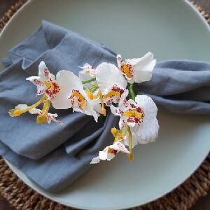 CJ4 ANEIS DE GUARDANAPO AUGURI CASA CHUVA 5X4CM