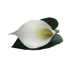 CJ 4 ANEIS DE GUARDANAPO COPO DE LEITE BRANCO 6X4CM