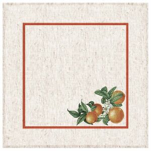 CJ 2 GUARDANAPOS DE MESA LINHO OFF 50X50CM