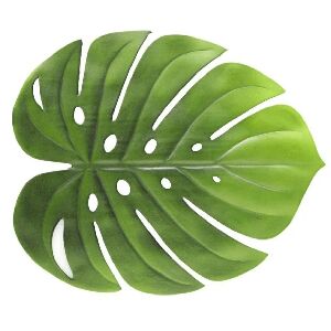 LUGAR AMERICANO DE EVA GARDEN LEAF